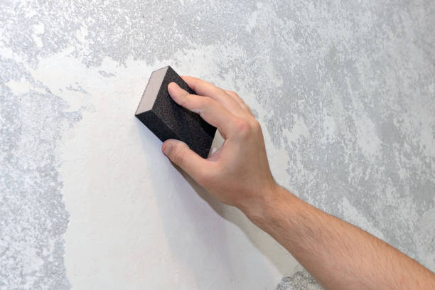 Best Real Estate Mold Inspection  in , AR