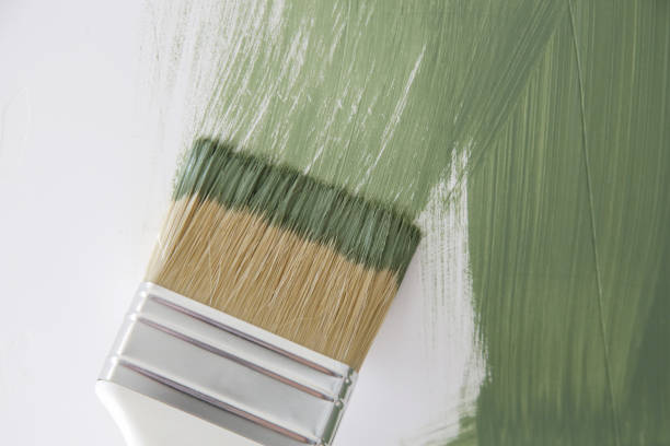 Best Mold Documentation for Insurance Claims  in , AR
