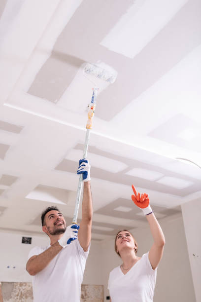 Best Mold Remediation for Healthcare Facilities  in , AR