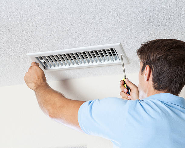 Best Mold Prevention Services  in , AR