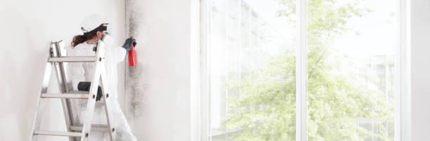 Best Dehumidification Services  in , AR
